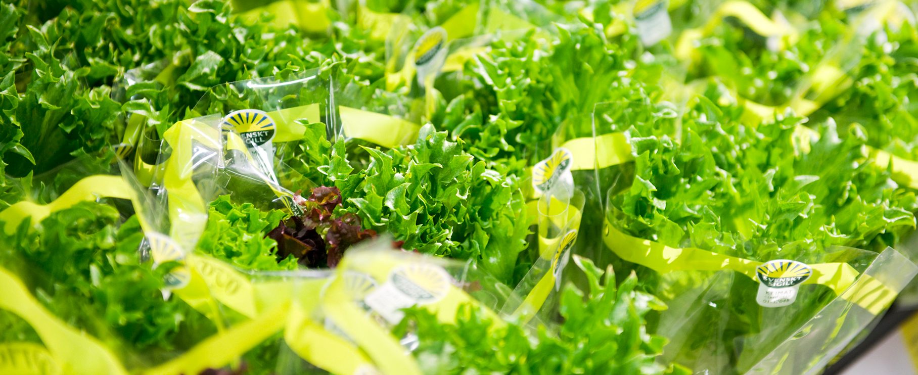 Axfood Snabbgross Karlstad